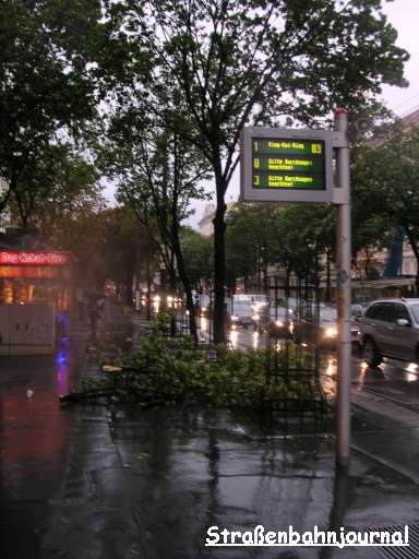 Kärntner Ring, Oper